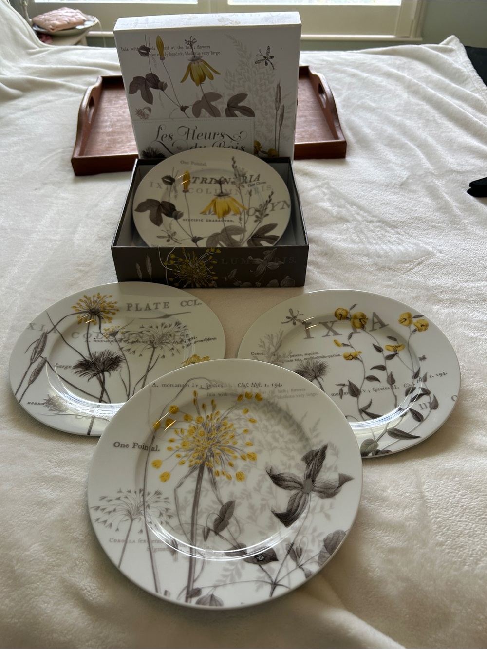 Vintage Les Fleurs du Bois Rosanna Yellow & Gray Botanical  Salad Plates
